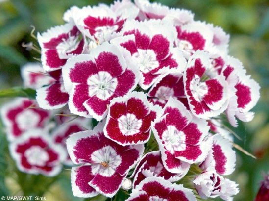 a1c27a370d9a8366bda48a9b23f84a1c