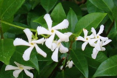 bb2f4c6a57a931a38c33733dbddaa9ae