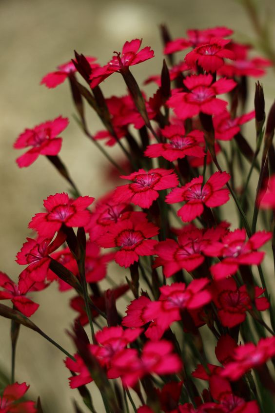 beb4be96f1b6f98597a94908adb74601