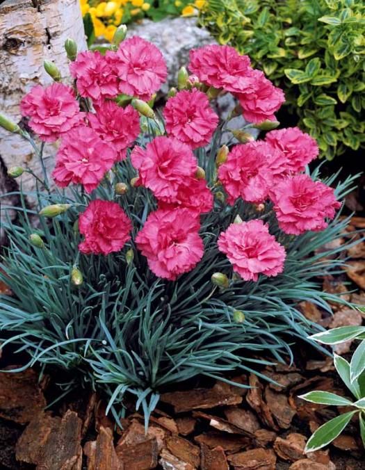 e29e20f9e3cf609e655aabae6afb2348