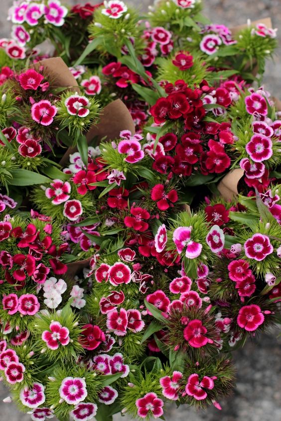 f0d5813a3d7d349422bb0f8af0e56f13