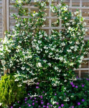 f23cfdbd6952c1e7776f8c8b6c0460af