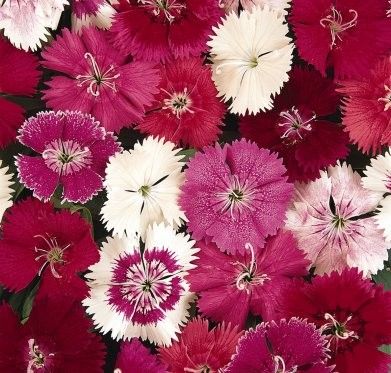 fd22dc554bbf123ee9f225fd0d4aba68