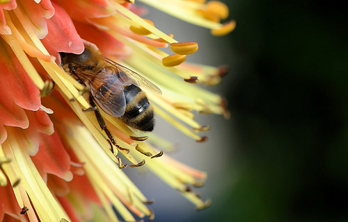 14142776499_3b61decb42