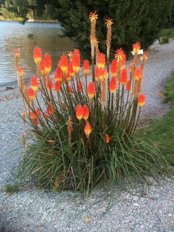 3e89ed433b1cfbe4cc544dae473f2954