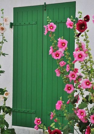 4a63cea85e282c06e9e720ca19cde581