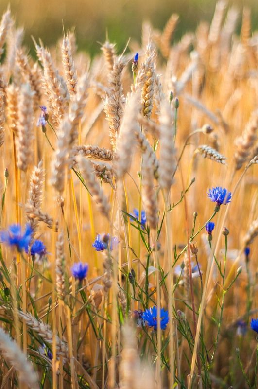 5a6d8e356a95e37e22eb5b4bb33c21dd