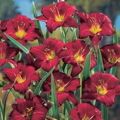 5d0e94bc6a7b0e3d3d30c71594ff0158