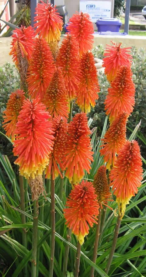 706ab273cf48747f8b0af895f7d2492e