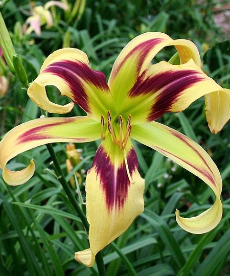 8ae736243d1db4fda86bcbe0f1c2ca0e