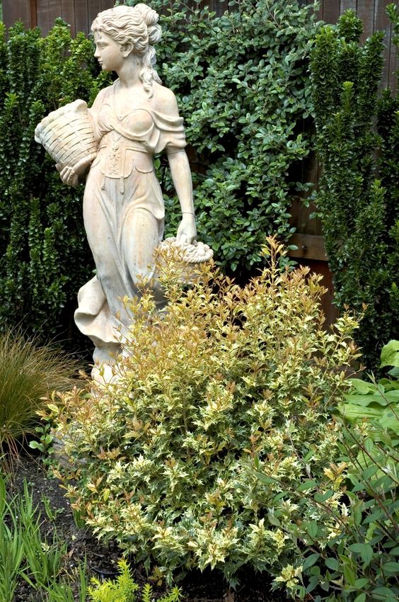 8e9fca0a08dbabe3bce53c20de67a57f