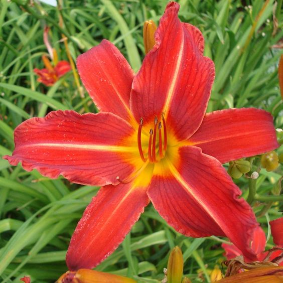 9c431d7b7ca7d9bf004a6322840f52c5