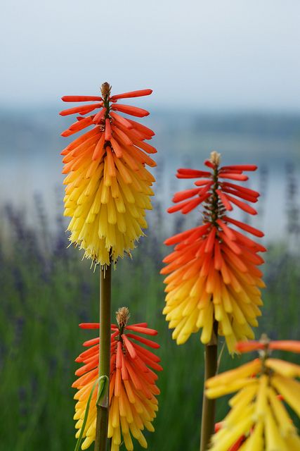 a04e2fb2c30659f9e1e01b117f92fef4