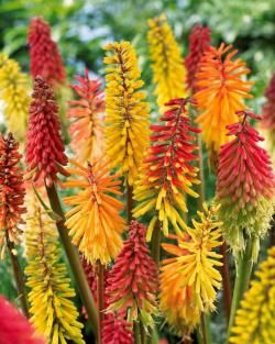 a105c28cc7217625f3c7a1abd092c624