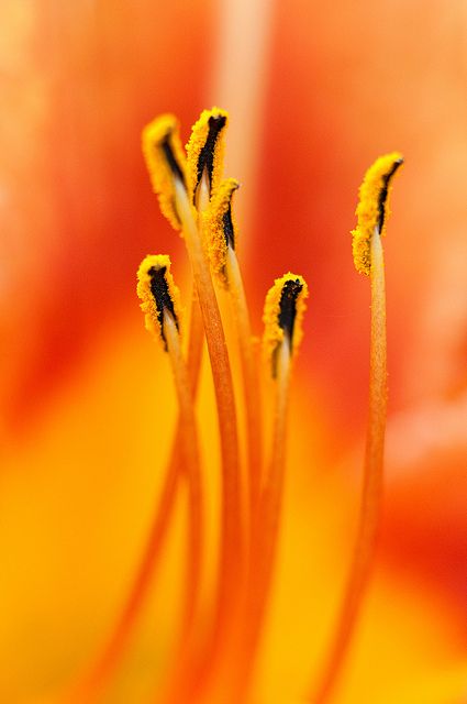 d3a56883038503c8863eb50f6526af8f