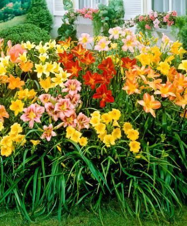 d8cbf98aa4986386fd468ebacee410af