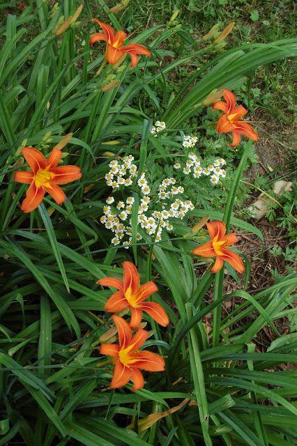 d8d9125245f8a5e37c525ec25bdeb593