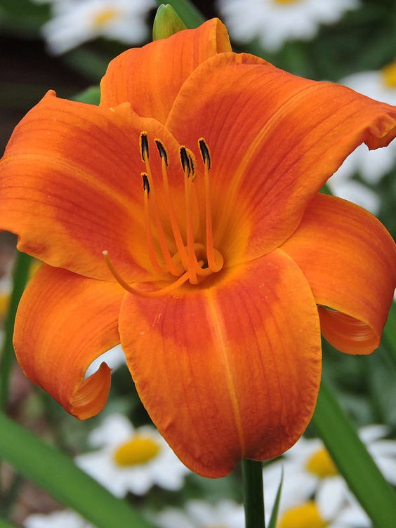 f3752a851114fbe8892d3866d2f13ed5