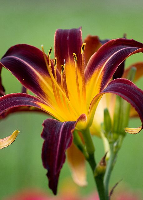 fd74f3f56cefdb40b734838740fdfa8f