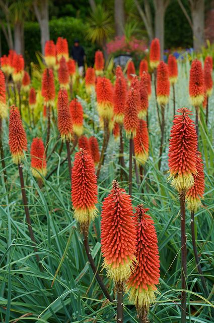 fe54cfa5f82f080d165192fc9776cf42