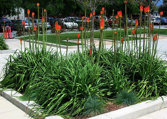 il_570xN.811581663_rdd6