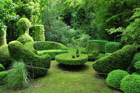 07cc10877dd021cff9069f5cb418a21b