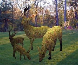 0de7294649cec39b7fd7f412e87732fc