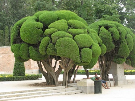 361314f33168fff8128254a409d37283