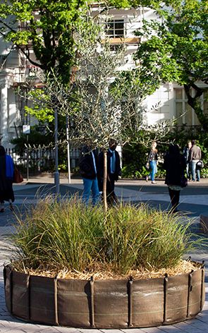 38f18197f1c52c2b545e422d56a1c94b