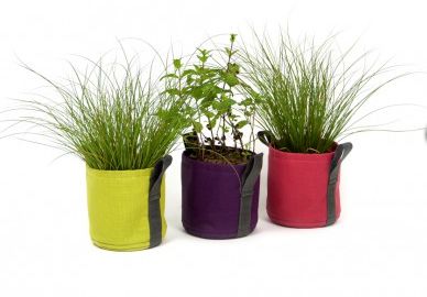 44dc9afa6e121741e8abf26aeff5db19