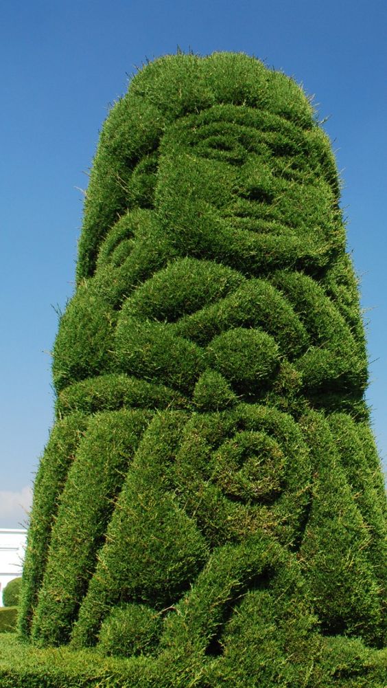 5a87c55862cffd203f54a8b2235f8032