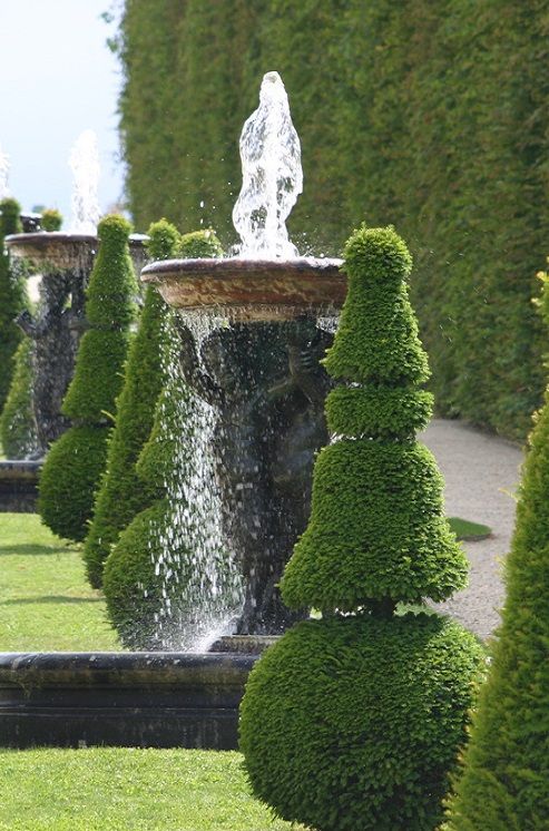 6d43fcc44aa4ac000d3998bcc8921f78