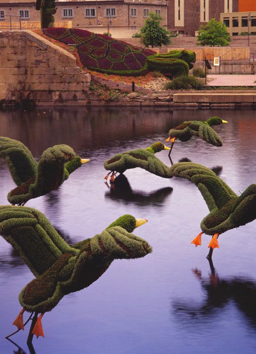 7488b138daa7fb6278c1186788d1d00e