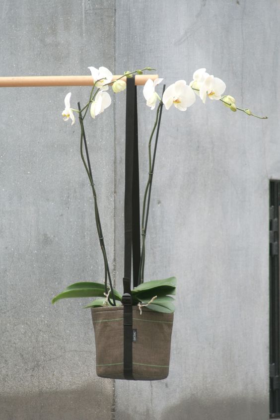 8b2cf9a175e2016ad7343a83792b2697