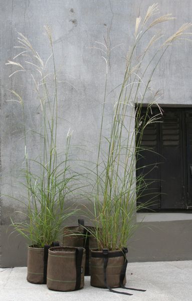 8ecd54245f6916189363c8acce581255