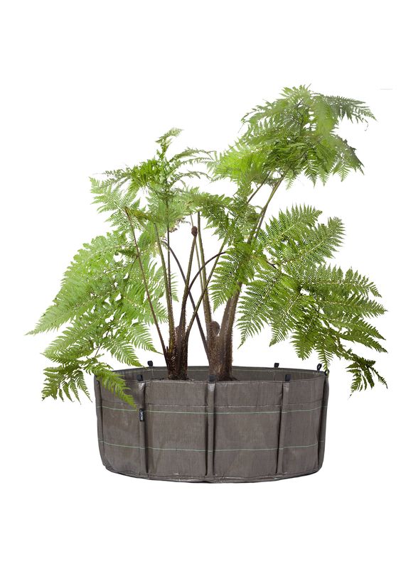 9bb2014bd55a13b455a51f3cc69fe1e3