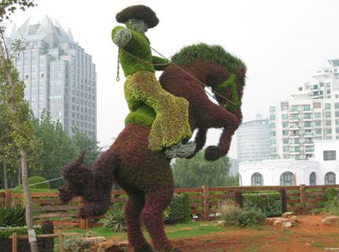 9d13fd506b1e9e605bd1a0a31ab8dd55