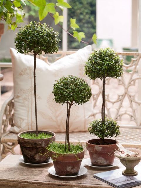 accede1d8d586cd86d5a6c2eeb15abec