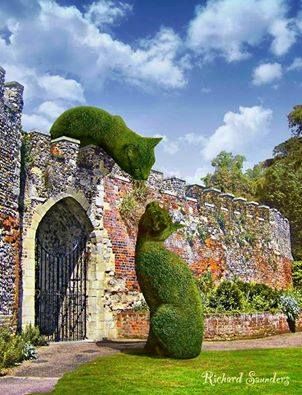 b48b94983e35e4230f6c96262d90d259