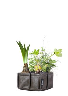 b68044cb3419c93780d82c5ca9832803