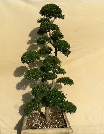 c093a4c5fef76b69faaf53912fa7493a