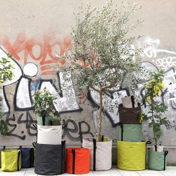 c50ff6da43c9c361f8161746158886fb