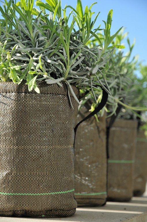 c73cea38fd0fe15022111dd8a0ea9ab2