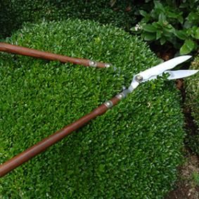 f4423aef961614462277efc5c5db17dd