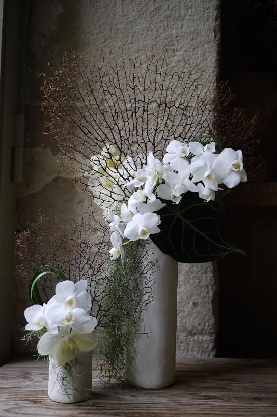 01b936181fb51d04fae4a420722768ce