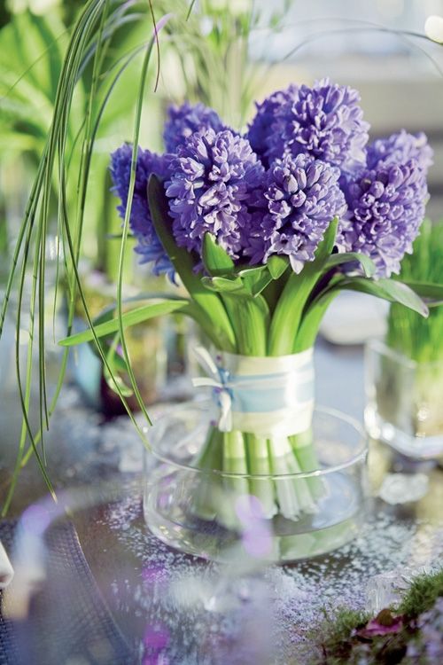 073d8a7a79c2e63de8090eaaab23f8a3