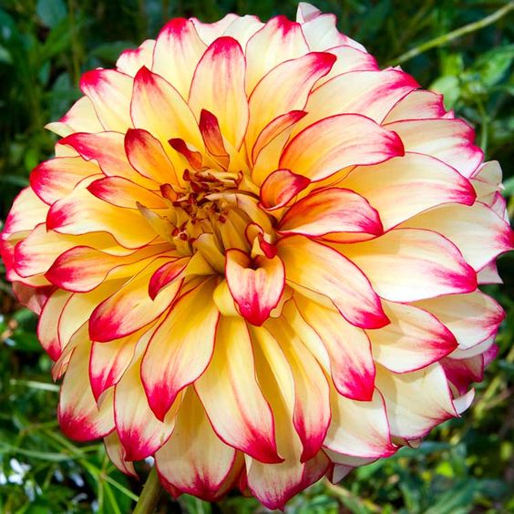 145ce91dec098fd82706ed67744ab602