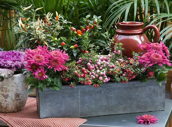 16dd3e235b34075c287c7b3cb601ff74