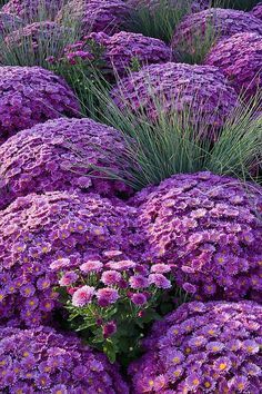 1e097fef95422f330b57b5fd930f35ab