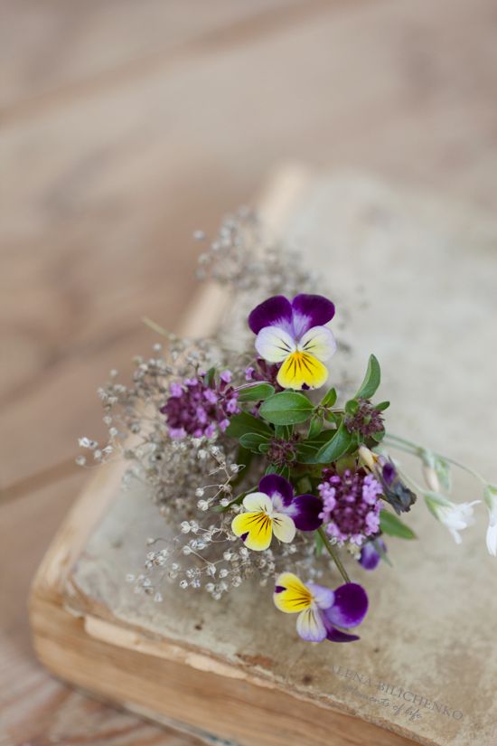 228916d6e2336ed51e4a125519f7583d